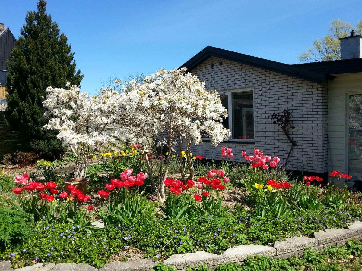 Mini-Apartment In The Flowerbed Сёборг Экстерьер фото